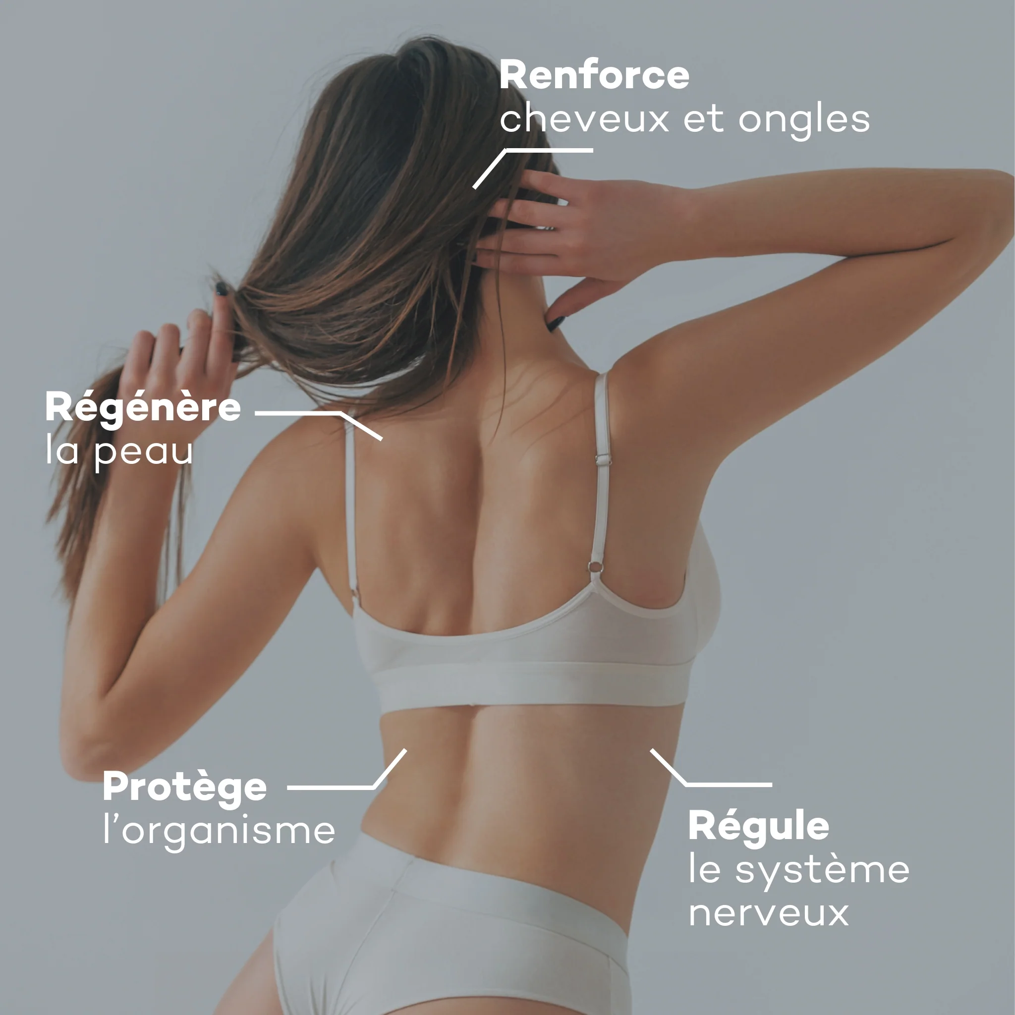 Absolu de Zinc - Image 3