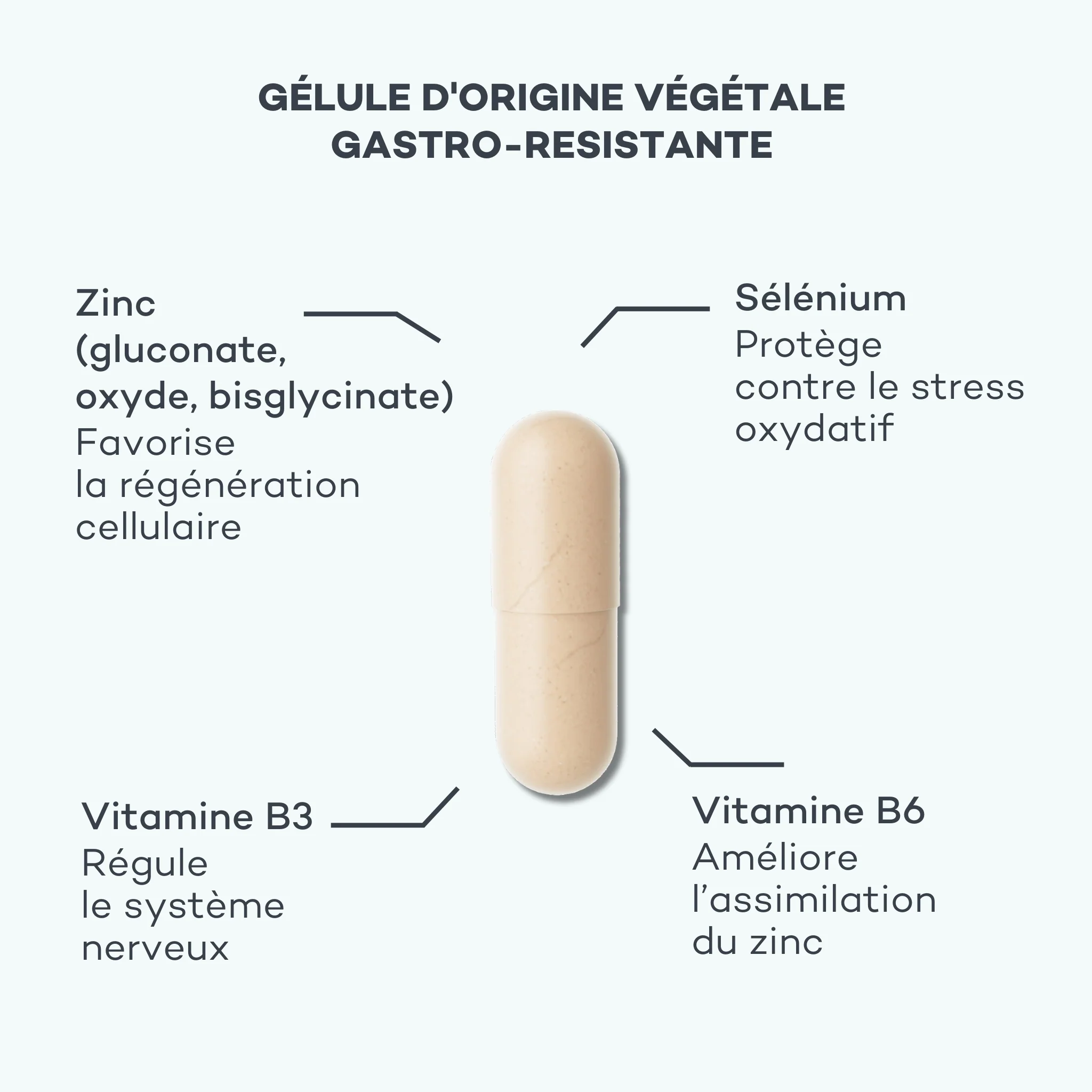 Absolu de Zinc - Image 4