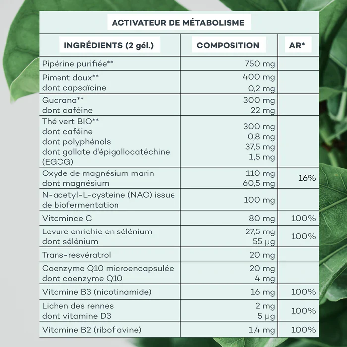 Energy Program - Image 7