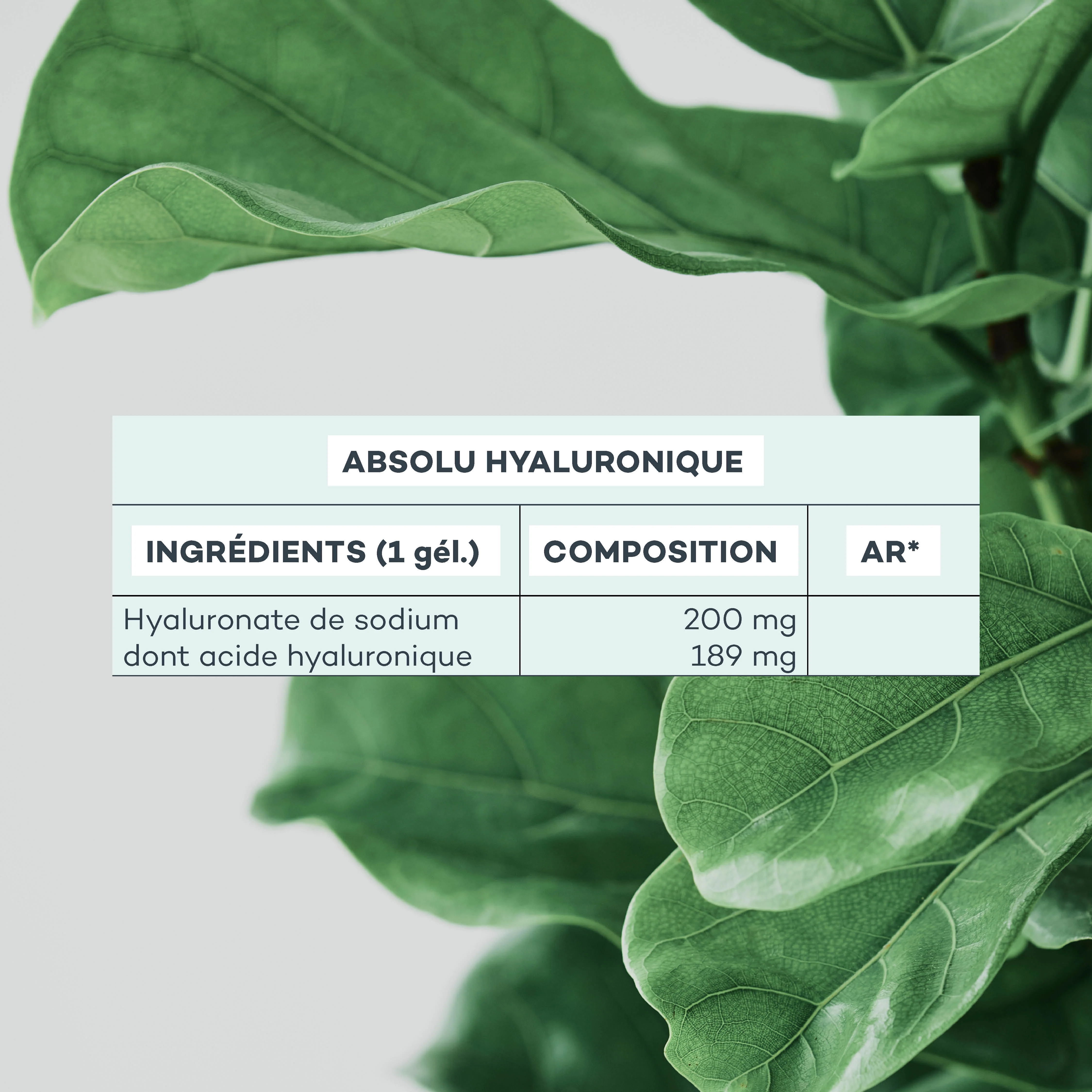 Routine Jeunesse-Absolue - Image 9